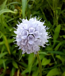 Allet 06 Ook fantastisch toch